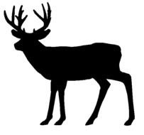 Whitetail Deer Silhouette Clip Art N7