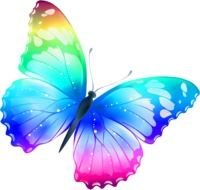 colored neon butterfly