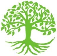 Growing Tree Clip Art drawing