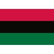 African American Flag N2