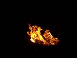 Bright fire flames on the black background