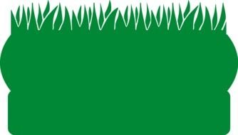grass lawn