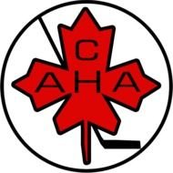 Canadian Maple Leaf Logo N2