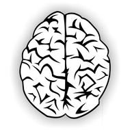 top view of Brain, black and white drawing