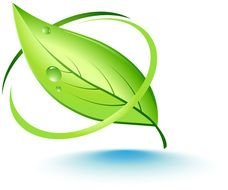 Free Vector Leaf N3