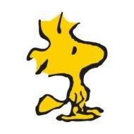 Charlie Brown Snoopy N7