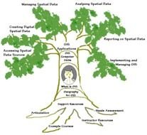 Tree Metaphor