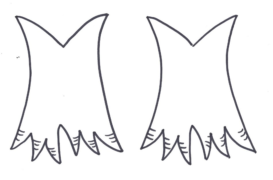drawing of the turkey's feet