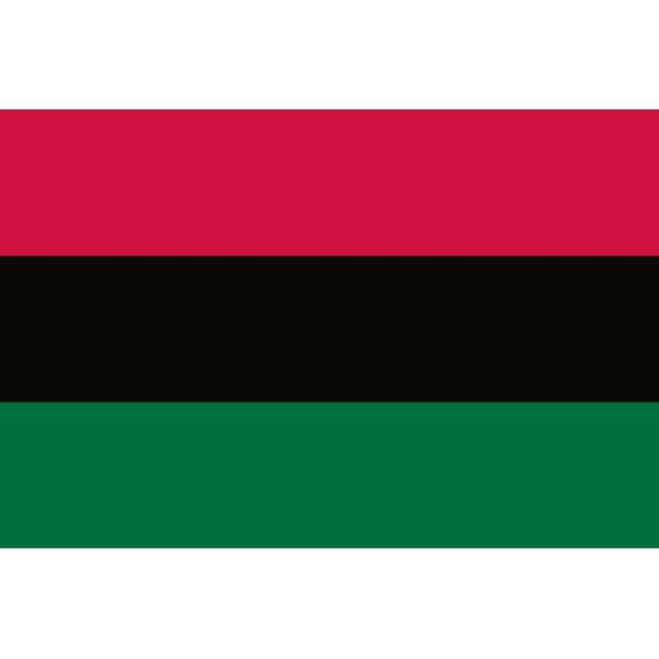 African American Flag N2