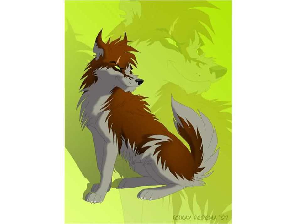 Lightning Wolf Anime A Weak Hed Found