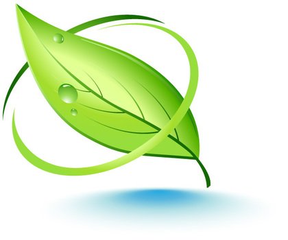 Free Vector Leaf N3
