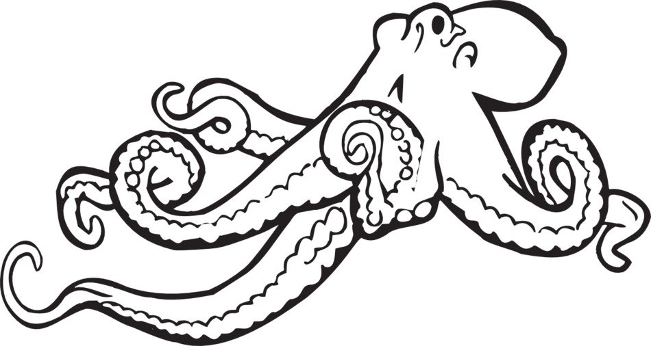 big sad Octopus Drawing
