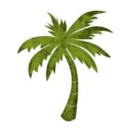 Palm Tree Icon