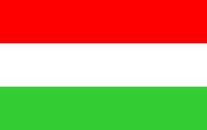 drawn rectangular Hungary flag
