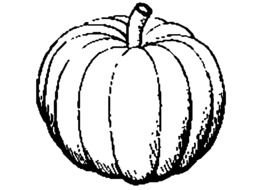 black and white picture of a pumpkin for coloring