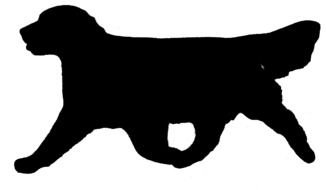 Golden Retriever Silhouette Clip Art N5
