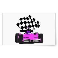 Race Car Checkered Flag N7