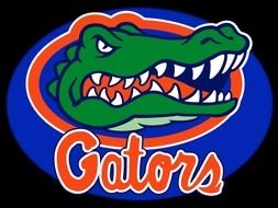 Gators crocodile Logo drawing