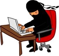 Ninja Working At Desk By Hector Gomez A With