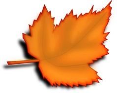 Fall Leaves Clip Art N135