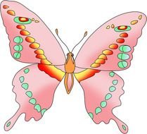 Pink Butterfly Clip Art N46