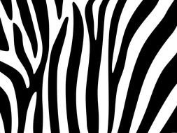 Clipart of a Zebra Stripes