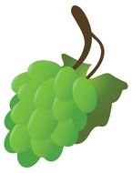 Green Grapes