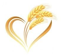 Wheat Vector
