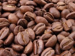 fresh coffee beans brown