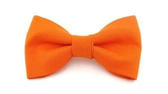 orange bow tie on a white background