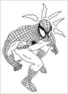 Spider Man as an illustration