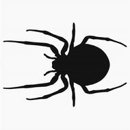 Spider Clip Art N44