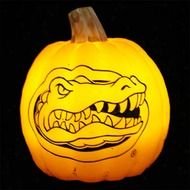 Florida Gator Pumpkin