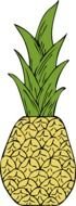 Pineapple Plant Clip Art drawing