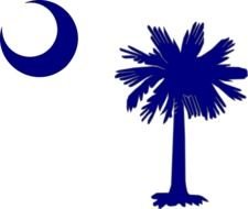 South Carolina Palmetto Tree And Moon N7