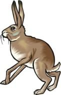 Rabbit as a Clip Art