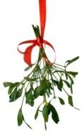 Mistletoe Clip Art drawing
