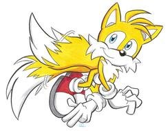 Wallpaper Knuckles The Echidna Picture