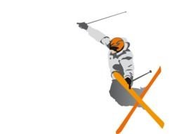 freestyle skiing