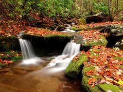 Beautiful waterflow in forest at fall