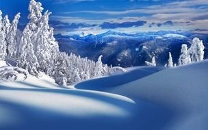 Winter Scenes drawing