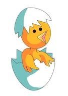 painted yellow chicken in an egg