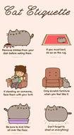 Cat Owners Will Understand 24 Pics