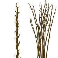 Willow Tree Silhouette Clip Art N3