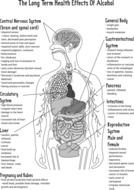 Long Term Alcohol Effects drawing