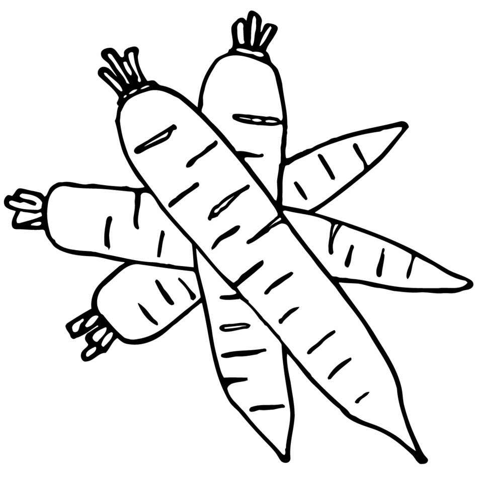 Black and white drawing of the carrots clipart