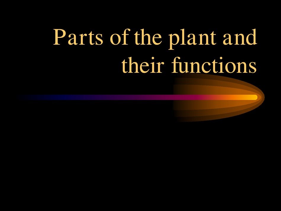 presentation for plant parts