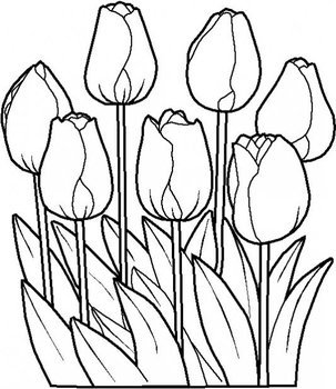 Flower Coloring Pages N11