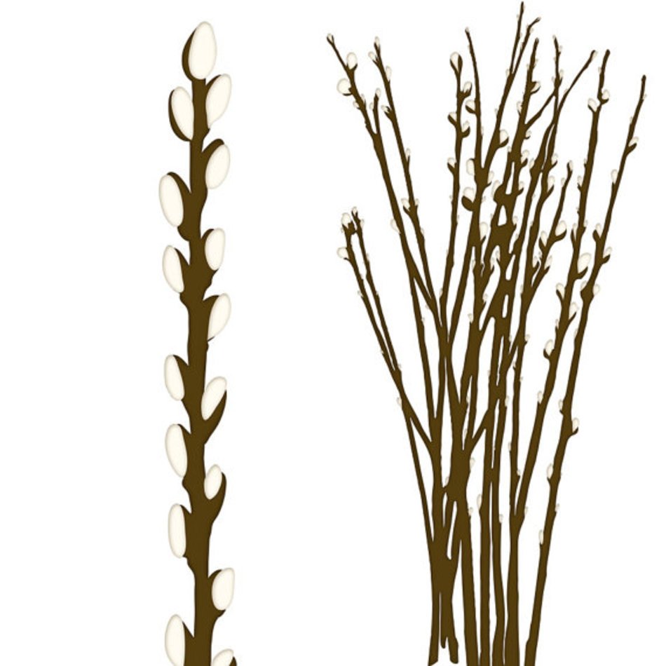 Willow Tree Silhouette Clip Art N3
