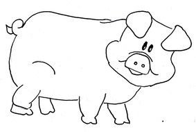 Cartoon Pig Outline drawing